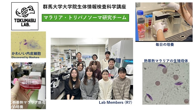 シオノギ感染症研究振興財団「創薬研究」採択-2_R0712