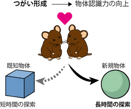 大学院生・岩井さん-press-01_R08